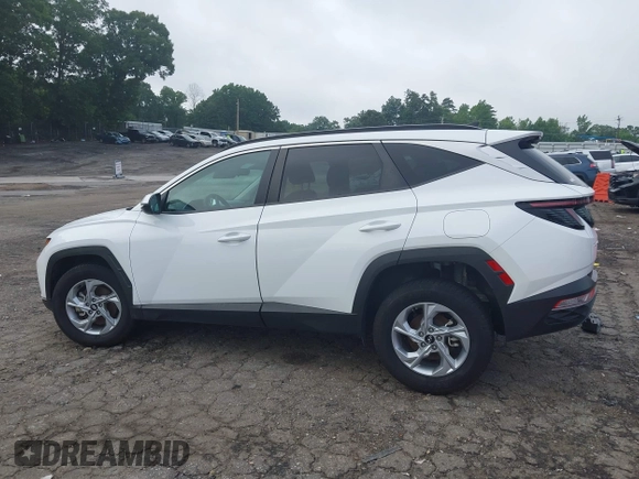 2023 Hyundai Tucson SEL with VIN 5NMJBCAE1PH201717, listed as a IAAI auction lot 42481210 with 55,943 mi miles and . Bid and sale history available at DreamBid. Image 14.