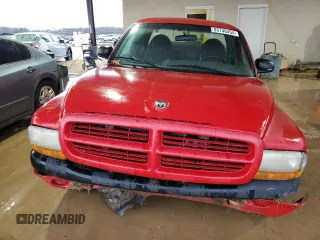 1999 Dodge Dakota SLT with VIN 1B7GL22X4XS210675, listed as a Copart auction lot 85746454 with 203,884 mi miles and Salvage Title. Bid and sale history available at carsss.com. Image 5.