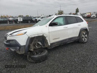 2019 Jeep Cherokee Trailhawk with VIN 1C4PJMBS0GW343738, listed as a Copart auction lot 78724384 with 0 mi miles and Salvage Title. Bid and sale history available at carsss.com. Image 1.
