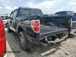 2009 Ford F-150 XL with VIN 1FTRW14809FA31805, listed as a Copart auction lot 59998575 with 199,115 mi miles and Clean title. Bid and sale history available at DreamBid. Image 2.