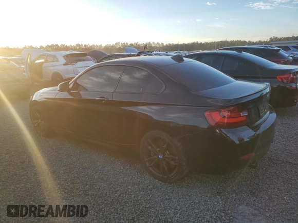 2017 BMW 2 Series M240i xDrive with VIN WBA2G3C3XHV641504, listed as a Copart auction lot 76472914 with 123,768 mi miles and Salvage Title. Bid and sale history available at carsss.com. Image 2.