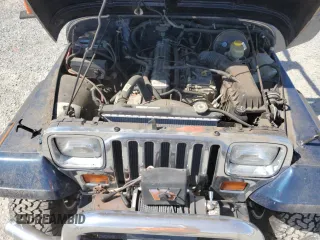 1995 Jeep Wrangler with VIN 1J4FY29S2SP309833, listed as a Copart auction lot 48493855 with 50,188 mi miles and Clean Title. Bid and sale history available at carsss.com. Image 12.