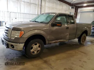 2009 Ford F-150 XL with VIN 1FTPX14VX9FA78317, listed as a Copart auction lot 58900425 with 179,765 mi miles and Salvage title. Bid and sale history available at DreamBid. Image 1.