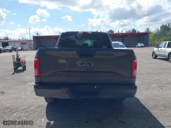 2017 Ford F-150 XL with VIN 1FTEW1CP7HKC83502, listed as a IAAI auction lot 41485951 with 117,373 mi miles. Bid and sale history available at carsss.com. Image 16.