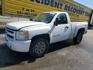 2009 Chevrolet Silverado 1500 1LT with VIN 1GCEK140X9Z129260, listed as a Copart auction lot 52605715 with 283,906 mi miles and Salvage Title. Bid and sale history available at DreamBid. Image 1.