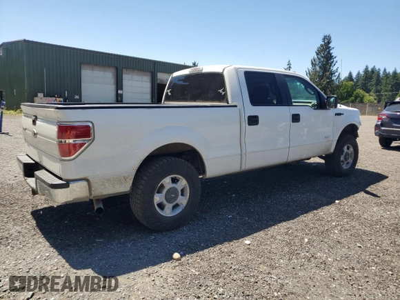 2011 Ford F-150 XLT with VIN 1FTFW1ET1BFB45761, listed as a Copart auction lot 64660595 with 240,317 mi miles and Salvage title. Bid and sale history available at DreamBid. Image 3.