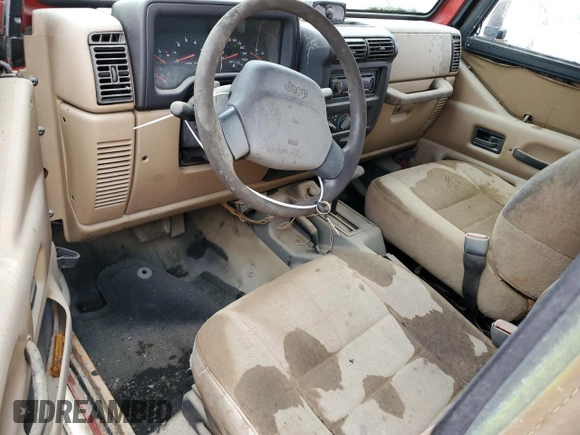 2002 Jeep Wrangler SE with VIN 1J4FA29P32P706533, listed as a Copart auction lot 43709055 with Not Provided miles and Salvage Title. Bid and sale history available at DreamBid. Image 8.