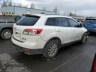 2009 Mazda CX-9 Touring with VIN JM3TB38V190170896, listed as a Copart auction lot 46803355 with 192,920 mi miles and Salvage Title. Bid and sale history available at carsss.com. Image 3.