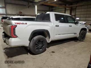 2022 Toyota Tundra 1794 Edition with VIN 5TFMA5DB0NX009609, listed as a Copart auction lot 86996704 with 79,697 mi miles and Salvage title. Bid and sale history available at DreamBid. Image 3.