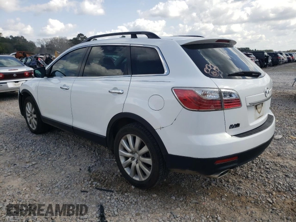 2010 Mazda CX-9 Grand Touring with VIN JM3TB2MA9A0234037, listed as a Copart auction lot 48826665 with 257,151 mi miles and Salvage Title. Bid and sale history available at carsss.com. Image 2.