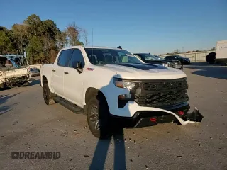 2024 Chevrolet Silverado 1500 Custom Trail Boss with VIN 3GCUDCED9RG110122, listed as a Copart auction lot 87020134 with 9,159 mi miles and Salvage Title. Bid and sale history available at carsss.com. Image 11.