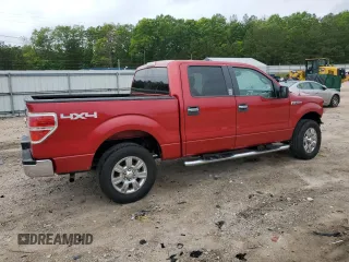 2009 Ford F-150 XL with VIN 1FTRW14839FA56777, listed as a Copart auction lot 55344665 with 217,031 mi miles and Clean title. Bid and sale history available at DreamBid. Image 3.