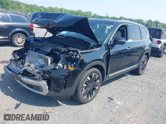 2023 Kia Telluride SX X-Pro с VIN 5XYP5DGC0PG343354, выставлен на аукционе IAAI как лот 42463746 с пробегом 30 916 миль миль и . История ставок и продаж доступна на DreamBid. Изображение 17.