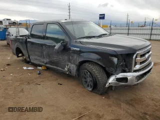 2017 Ford F-150 XL with VIN 1FTEW1E85HFA35022, listed as a Copart auction lot 48306355 with 139,326 mi miles and Salvage Title. Bid and sale history available at DreamBid. Image 4.