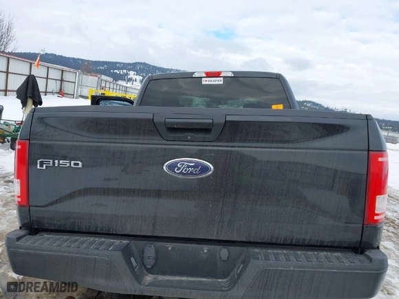 2015 Ford F-150 XLT with VIN 1FTEW1EG4FKD44072, listed as a IAAI auction lot 41613413 with 1 mi miles. Bid and sale history available at carsss.com. Image 16.