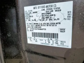 2005 Ford F-150 XLT with VIN 1FTPX12575NB60735, listed as a Copart auction lot 49598075 with 153,360 mi miles and Salvage title. Bid and sale history available at DreamBid. Image 12.