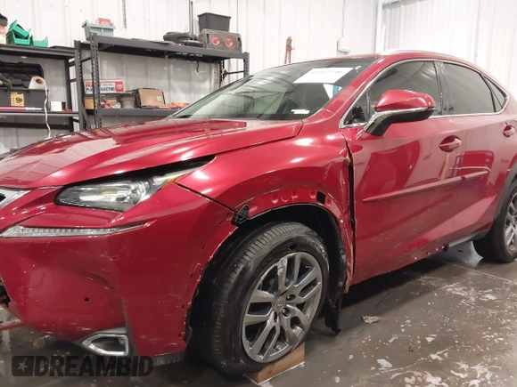 2016 Lexus NX 200t with VIN JTJYARBZ0G2049713, listed as a IAAI auction lot 41922296 with 132,526 mi miles. Bid and sale history available at carsss.com. Image 19.