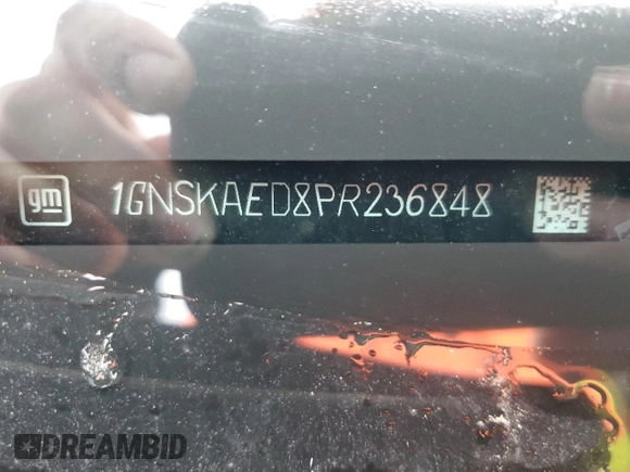 2023 Chevrolet Suburban with VIN 1GNSKAED8PR236848, listed as a Copart auction lot 45025625 with Not provided miles and Clean title. Bid and sale history available at DreamBid. Image 13.