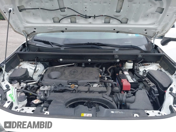 2019 Toyota RAV4 XLE with VIN 2T3W1RFV3KW054552, listed as a IAAI auction lot 40885219 with 40,695 mi miles and . Bid and sale history available at DreamBid. Image 10.