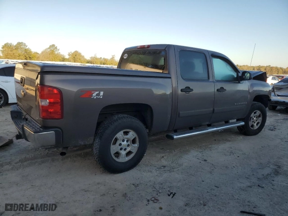2007 Chevrolet Silverado 1500 LT w/2LT with VIN 2GCEK13M371635801, listed as a Copart auction lot 49666925 with NaN miles and Salvage Title. Bid and sale history available at carsss.com. Image 3.