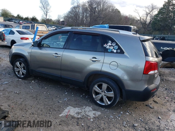 2013 Kia Sorento EX with VIN 5XYKU3A29DG387534, listed as a Copart auction lot 49912305 with 157,204 mi miles and Clean Title. Bid and sale history available at carsss.com. Image 2.