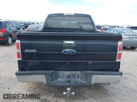 2010 Ford F-150 XL with VIN 1FTEW1C82AKA48763, listed as a IAAI auction lot 41950704 with 206,422 mi miles. Bid and sale history available at carsss.com. Image 16.