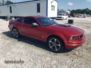 2007 Ford Mustang Deluxe с VIN 1ZVFT80N075240641, выставлен на аукционе Copart как лот 59951355 с пробегом 120 459 миль миль и Списание • Salvage title. История ставок и продаж доступна на DreamBid. Изображение 4.