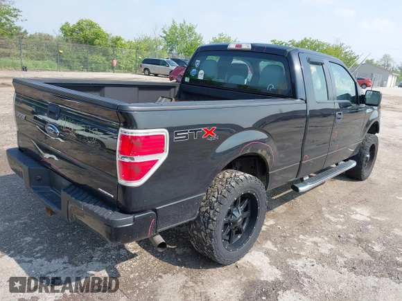 2013 Ford F-150 XL z VIN 1FTFX1EF3DFB81137, wystawiony jako IAAI lot #42426728 z przebiegiem 208 700 mil mil oraz . Historia ofert i sprzedaży dostępna na DreamBid. Obrazek 4.