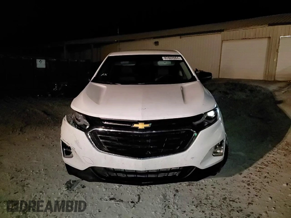 2019 Chevrolet Equinox LS with VIN 3GNAXSEV3KS667356, listed as a Copart auction lot 82869984 with 61,514 mi miles and Salvage Title. Bid and sale history available at DreamBid. Image 15.
