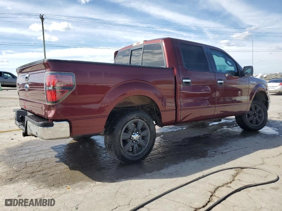 2010 Ford F-150 XL with VIN 1FTEW1C85AFC14816, listed as a Copart auction lot 49848455 with 0 mi miles and Salvage Title. Bid and sale history available at carsss.com. Image 3.