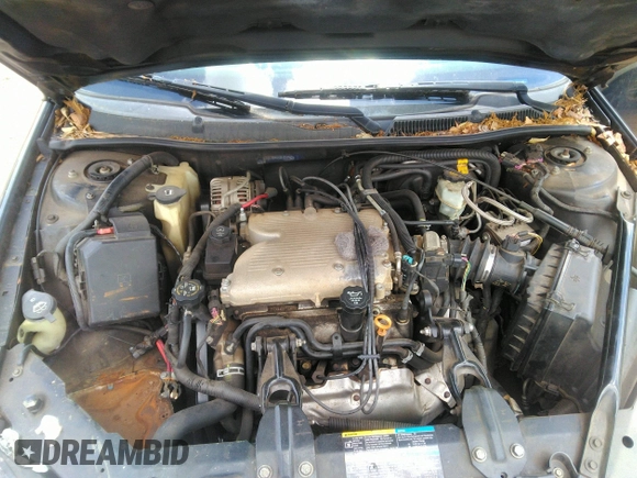 2008 Chevrolet Impala LS z VIN 2G1WB58K281237962, wystawiony jako IAAI lot #42190212 z przebiegiem 241 369 mil mil oraz . Historia ofert i sprzedaży dostępna na DreamBid. Obrazek 10.