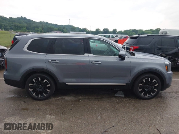 2024 Kia Telluride SX Prestige X-Pro with VIN 5XYP5DGC2RG520392, listed as a IAAI auction lot 42420406 with 19,649 mi miles and . Bid and sale history available at DreamBid. Image 13.