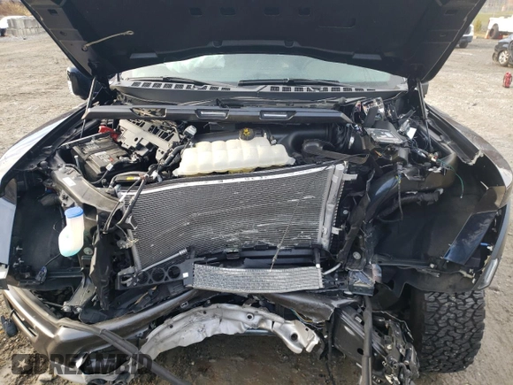 2022 Ford F-150 Raptor with VIN 1FTFW1RG0NFB46241, listed as a Copart auction lot 76933043 with Not Provided miles and Salvage Title. Bid and sale history available at carsss.com. Image 11.