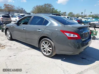 2010 Nissan Maxima 3.5 SV w/Premium Pkg with VIN 1N4AA5AP6AC831809, listed as a IAAI auction lot 41684547 with 123,194 mi miles. Bid and sale history available at carsss.com. Image 3.