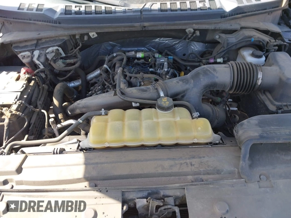 2019 Ford F-150 XL with VIN 1FTEW1EP6KKC99243, listed as a IAAI auction lot 42057955 with 99,666 mi miles. Bid and sale history available at carsss.com. Image 10.