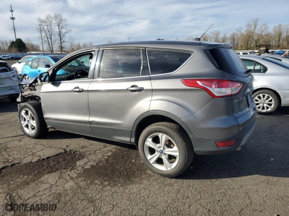 2014 Ford Escape SE with VIN 1FMCU0GX3EUB80977, listed as a Copart auction lot 48169985 with 184,353 mi miles and Salvage Title. Bid and sale history available at carsss.com. Image 2.