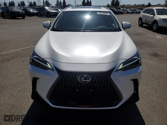 2025 Lexus NX 350h Premium with VIN JTJGKCEZ9S2052281, listed as a Copart auction lot 52636085 with 4,554 mi miles and Salvage title. Bid and sale history available at DreamBid. Image 5.