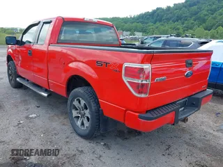 2013 Ford F-150 XL with VIN 1FTFX1EF7DFC10994, listed as a IAAI auction lot 42435310 with 176,204 mi miles and . Bid and sale history available at DreamBid. Image 3.