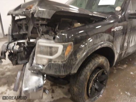 2013 Ford F-150 XL with VIN 1FTFW1EF8DFC99168, listed as a IAAI auction lot 41400336 with 186,432 mi miles. Bid and sale history available at carsss.com. Image 6.