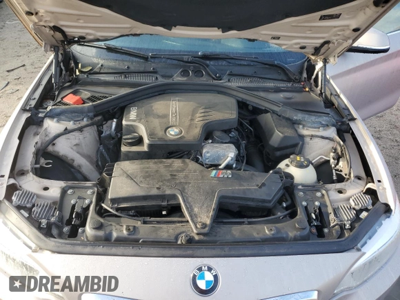 2016 BMW 2 Series 228i with VIN WBA1F9C50GV742181, listed as a Copart auction lot 71059013 with 109,252 mi miles. Bid and sale history available at carsss.com. Image 11.