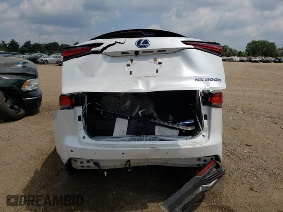 2019 Lexus NX 300h with VIN JTJBJRBZ0K2119208, listed as a Copart auction lot 62865873 with 111,723 mi miles and Salvage title. Bid and sale history available at DreamBid. Image 6.