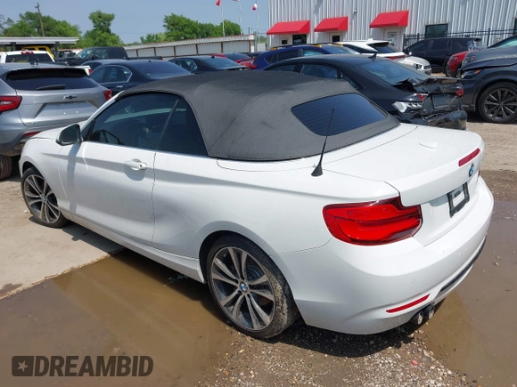 2019 BMW 2 Series 230i with VIN WBA2M7C56KVD52017, listed as a IAAI auction lot 41922976 with 42,194 mi miles and . Bid and sale history available at carsss.com. Image 3.