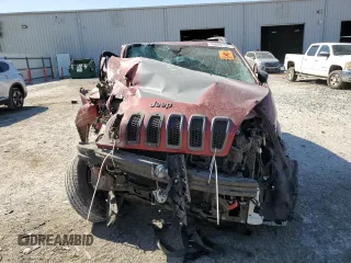2016 Jeep Cherokee Trailhawk with VIN 1C4PJMBS0GW277367, listed as a Copart auction lot 49656155 with Not Provided miles and Salvage Title. Bid and sale history available at DreamBid. Image 5.