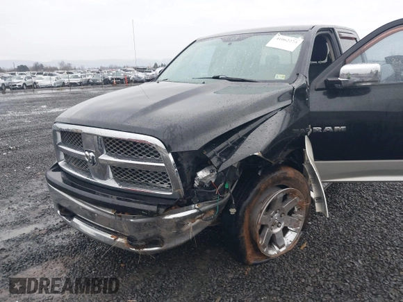 2010 Dodge 1500 SLT with VIN 1D7RV1CT8AS142208, listed as a IAAI auction lot 41062273 with 233,623 mi miles and . Bid and sale history available at DreamBid. Image 6.