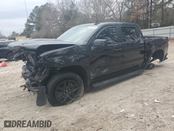 2024 Chevrolet Silverado 1500 Custom Trail Boss with VIN 3GCUDCED0RG145065, listed as a Copart auction lot 49110485 with 18,265 mi miles and Salvage Title. Bid and sale history available at carsss.com. Image 1.