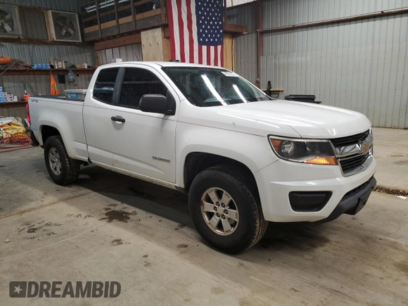 2016 Chevrolet Colorado 4WD WT with VIN 1GCHTBEA1G1109904, listed as a Copart auction lot 48950535 with 215,752 mi miles and Clean Title. Bid and sale history available at carsss.com. Image 4.