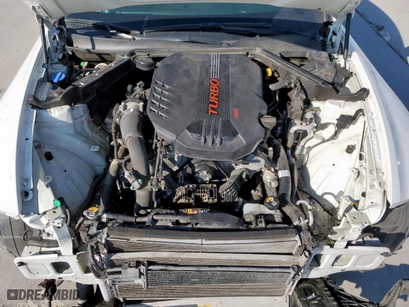 2020 Kia Stinger GT with VIN KNAE35LC4L6073404, listed as a Copart auction lot 45859645 with 65,183 mi miles and Salvage Title. Bid and sale history available at carsss.com. Image 11.