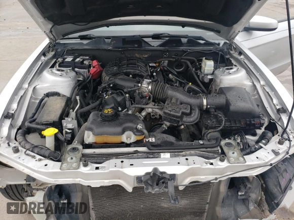 2014 Ford Mustang V6 with VIN 1ZVBP8AM6E5217984, listed as a Copart auction lot 64165394 with 116,727 mi miles and Clean Title. Bid and sale history available at carsss.com. Image 11.