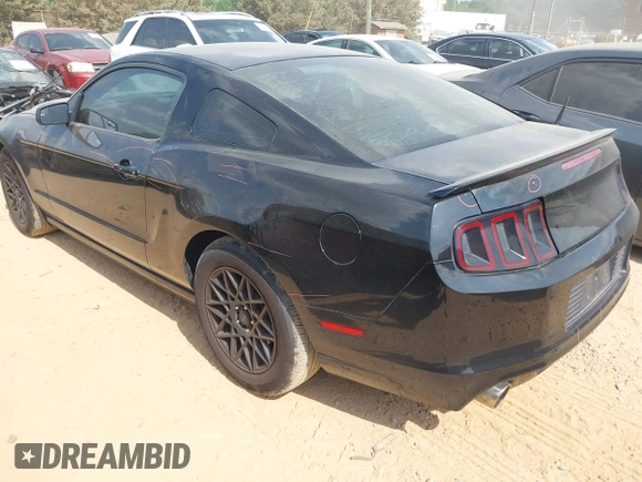 2013 Ford Mustang V6 with VIN 1ZVBP8AM4D5243305, listed as a IAAI auction lot 42162203 with 141,196 mi miles and . Bid and sale history available at DreamBid. Image 3.