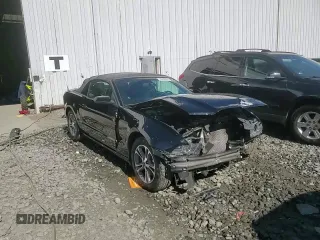 2014 Ford Mustang V6 with VIN 1ZVBP8EM8E5310788, listed as a Copart auction lot 48499365 with 73,720 mi miles and Salvage Title. Bid and sale history available at carsss.com. Image 14.